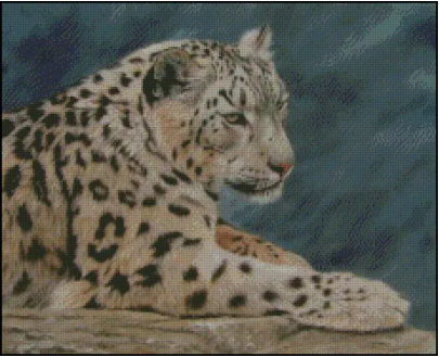 (image for) Resting Snow Leopard